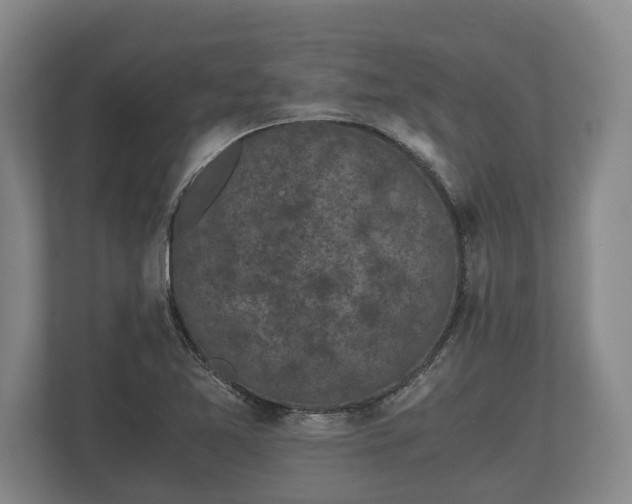 X0000110321365200905281624