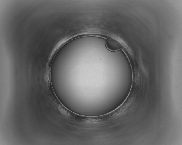 X0000110321366200905281624