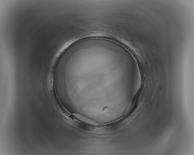 X0000110321367200905281624