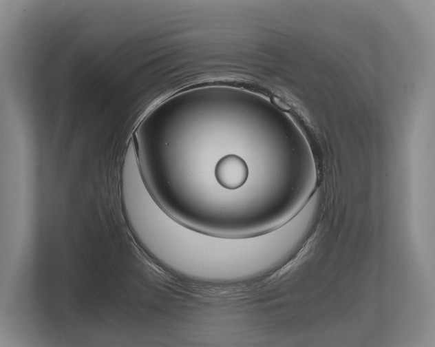 X0000110321369200905281624