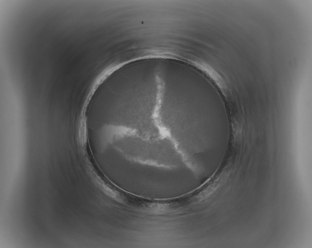 X0000110321371200905281624