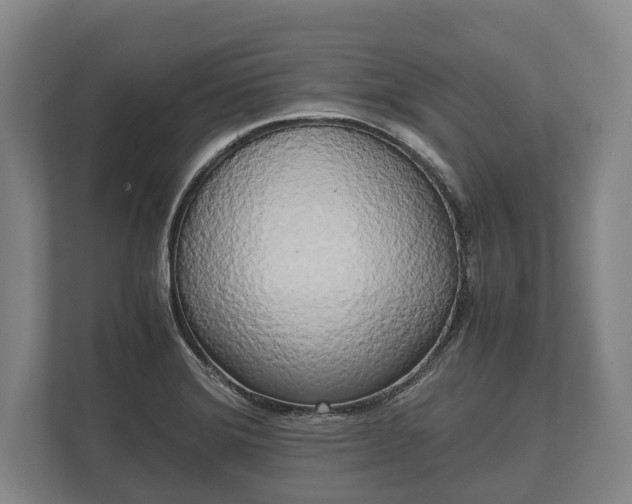 X0000110321372200905281624