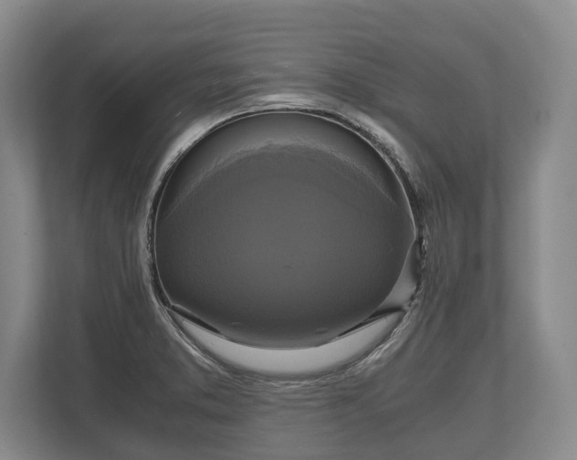 X0000110321373200905281624