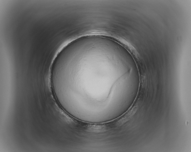 X0000110321374200905281624