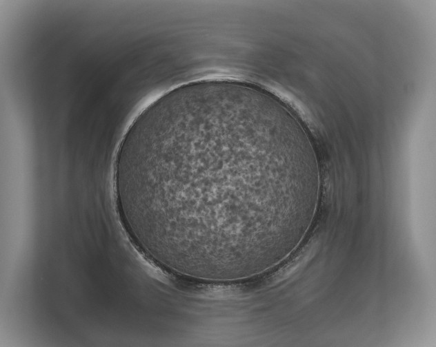 X0000110321375200905281624