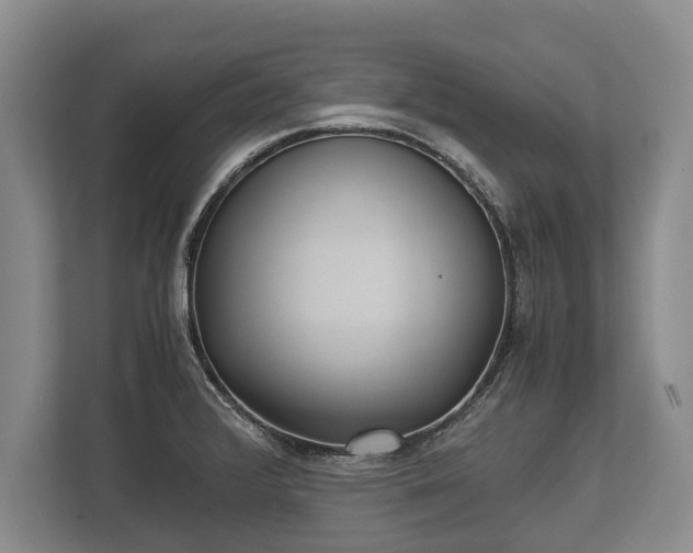 X0000110321376200905281624