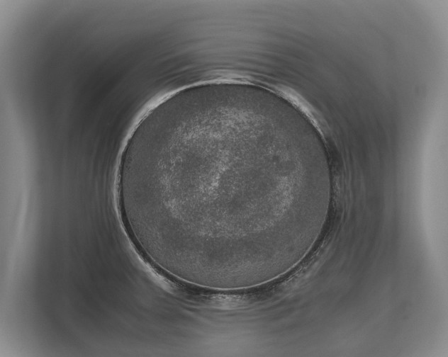 X0000110321379200905281624