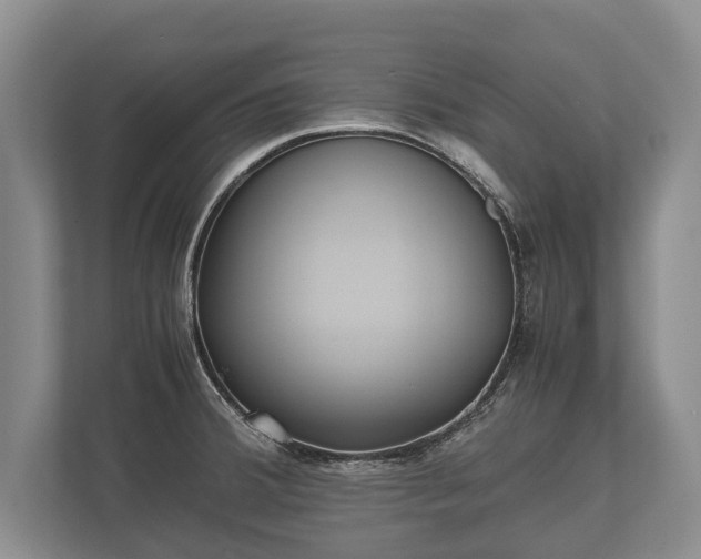 X0000110321380200905281624