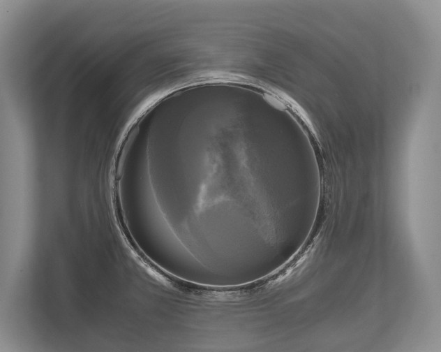 X0000110321381200905281624