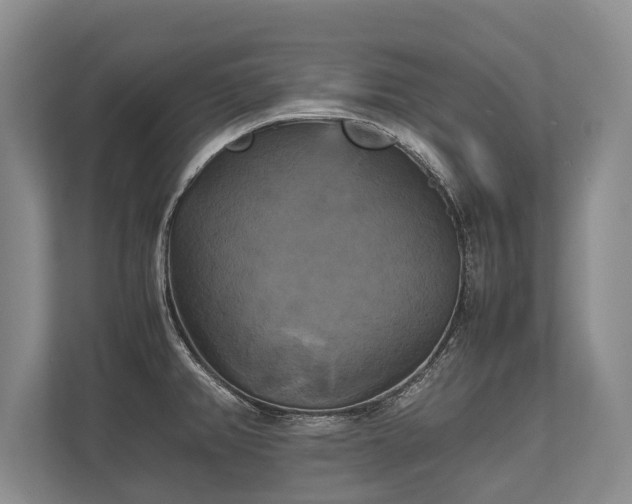 X0000110321382200905281624