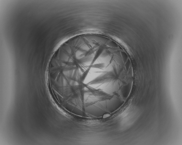 X0000110321383200905281624