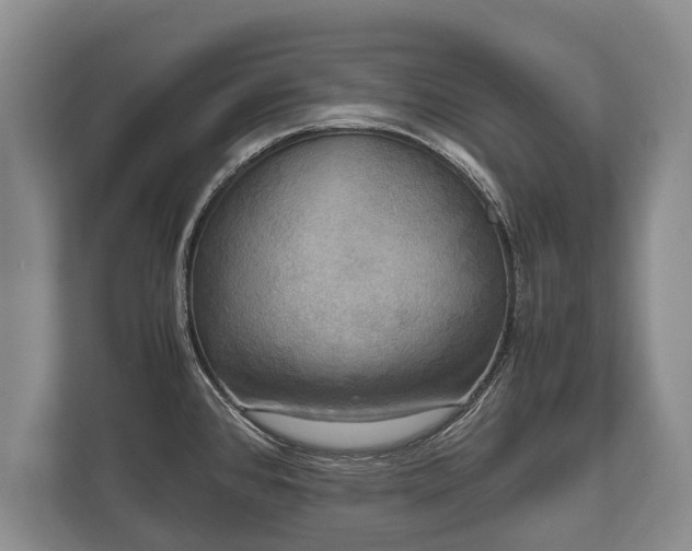 X0000110321384200905281624