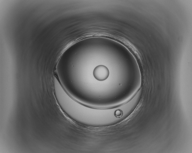 X0000110321385200905281624