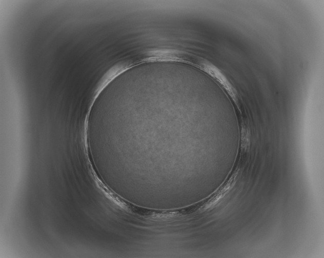 X0000110321386200905281624