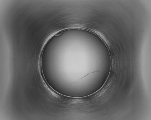 X0000110321387200905281624