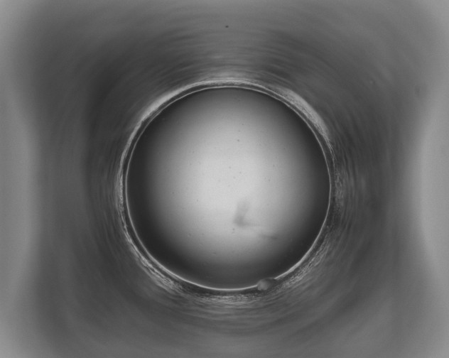 X0000110321388200905281624