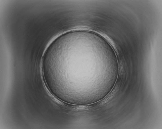 X0000110321390200905281624