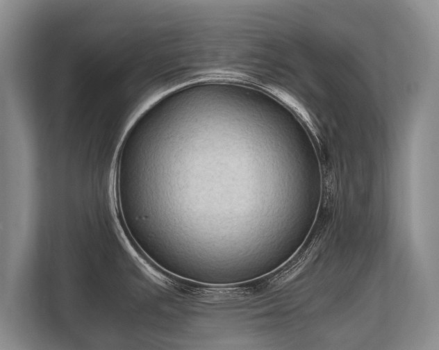 X0000110321391200905281624