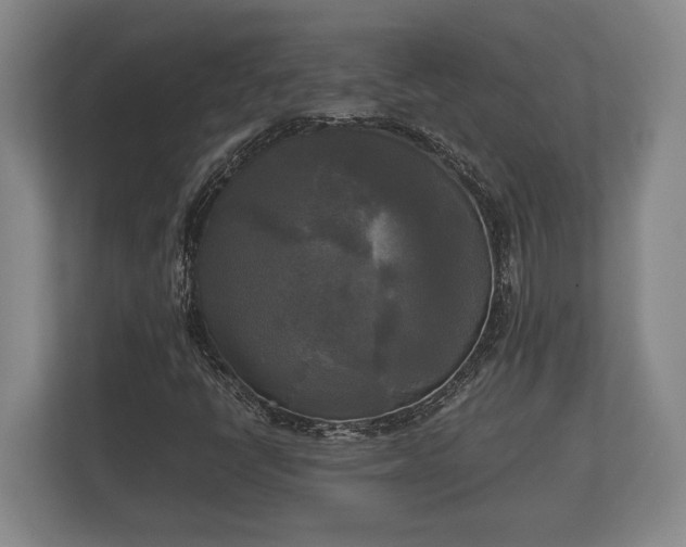 X0000110321398200905281623