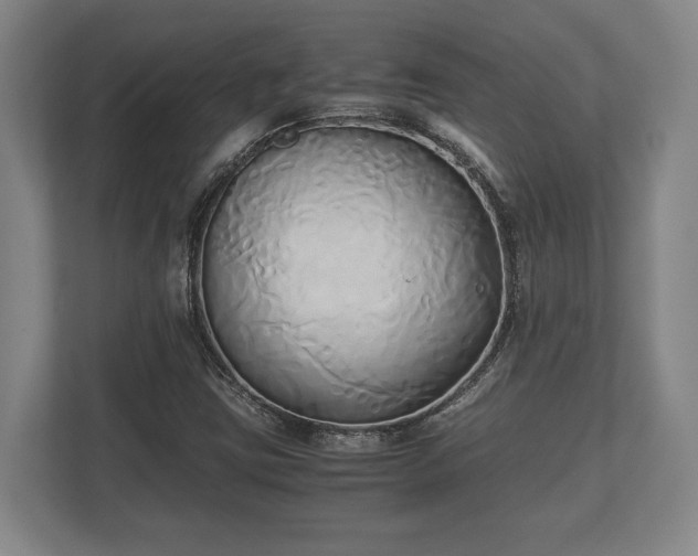 X0000110321403200905281623