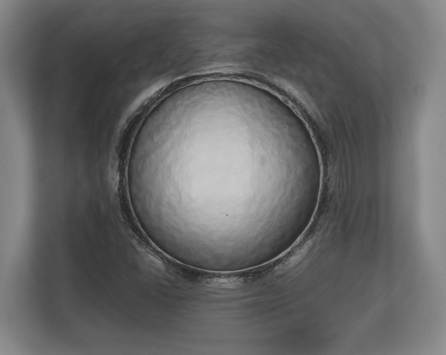 X0000110321406200905281623