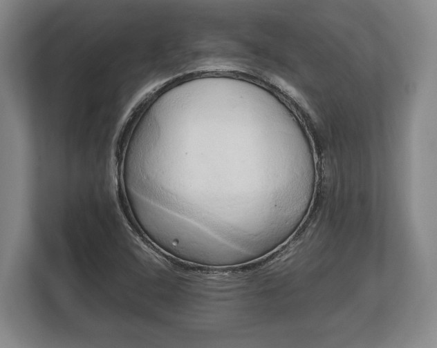 X0000110321408200905281623