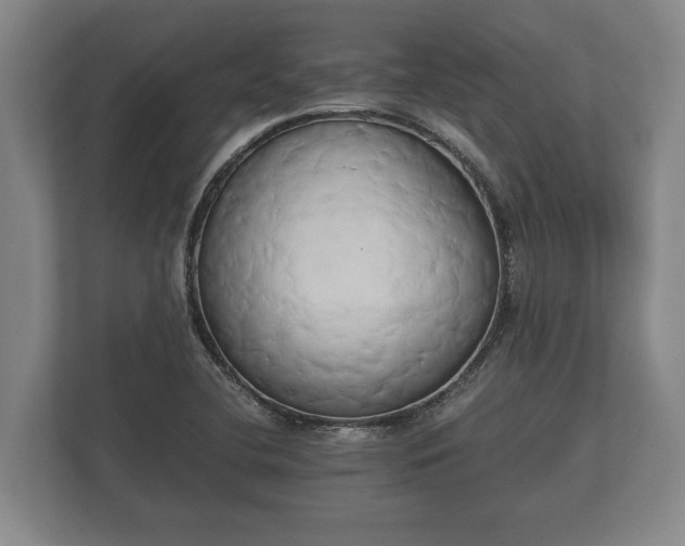 X0000110321412200905281623