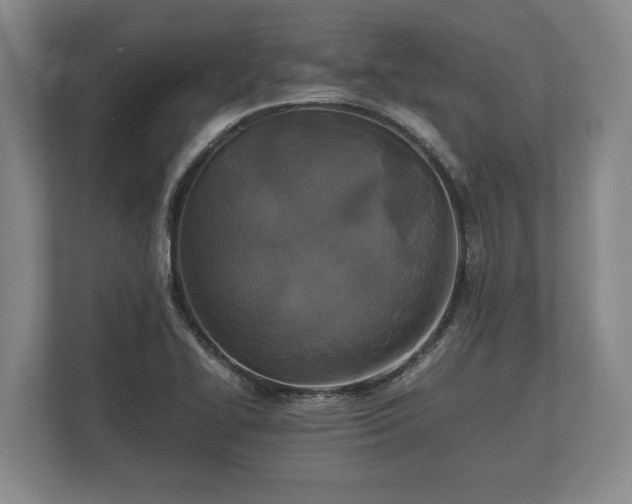 X0000110321414200905281623