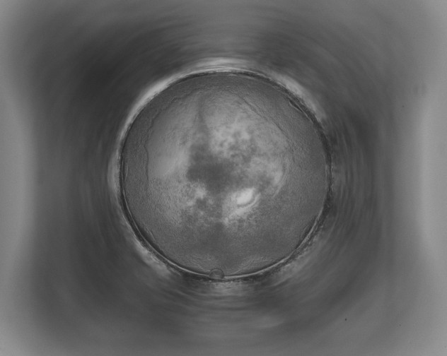 X0000110321421200905281623