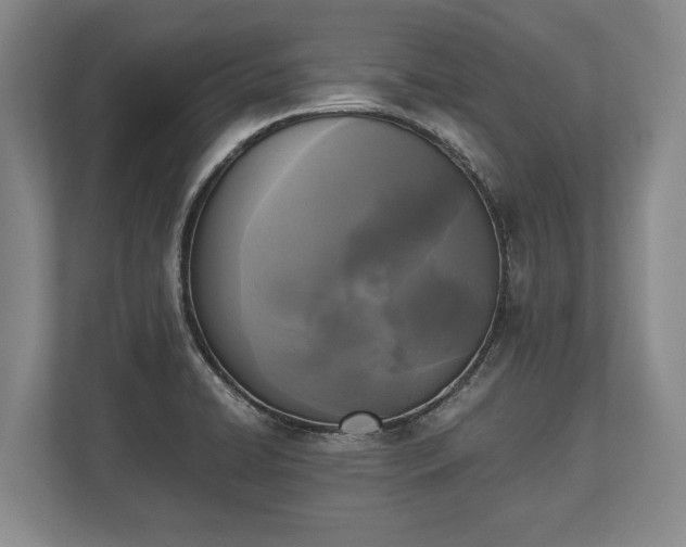 X0000110321422200905281623