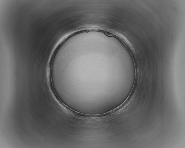 X0000110321424200905281623