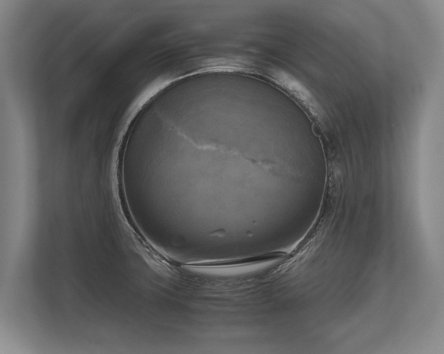 X0000110321427200905281623