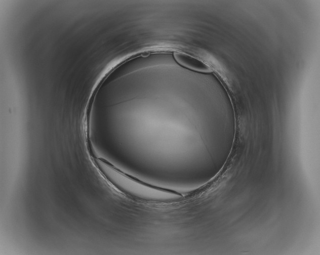 X0000110321428200905281623