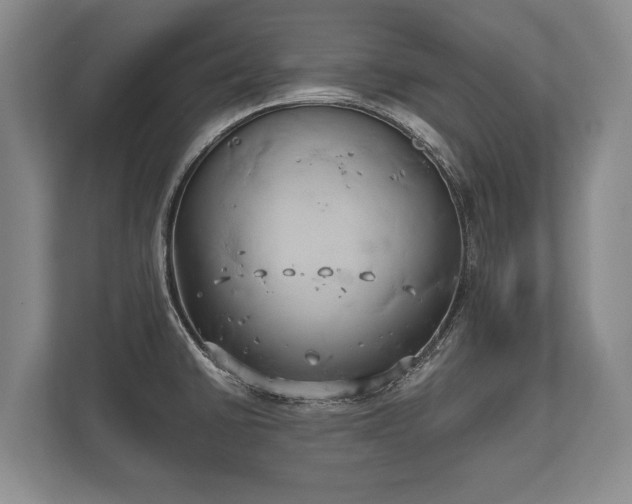 X0000110321430200905281623