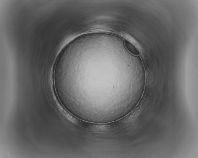 X0000110321431200905281623