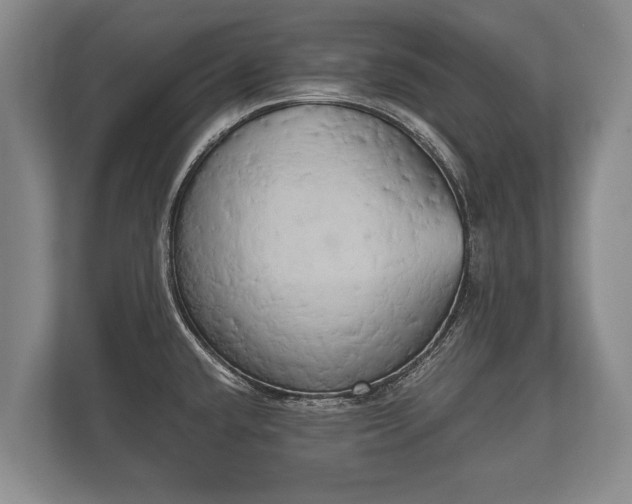 X0000110321432200905281624