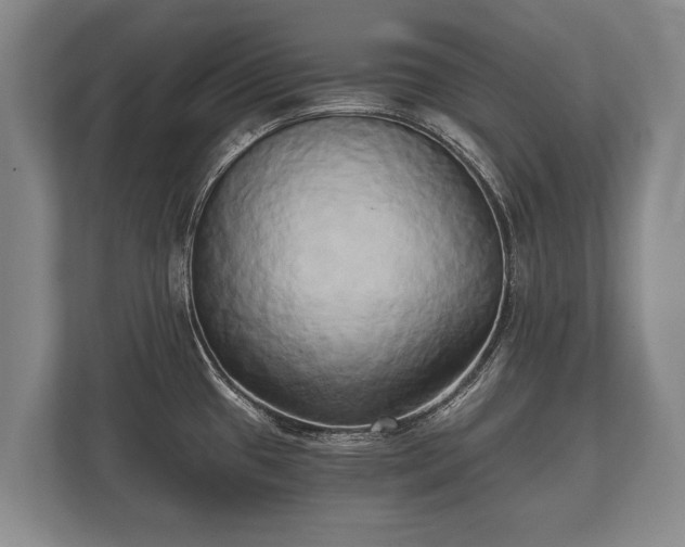 X0000110321433200905281624