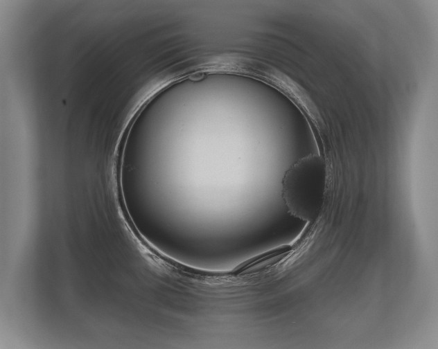 X0000110321434200905281624