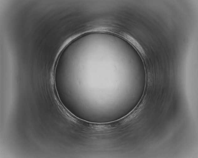 X0000110321436200905281624