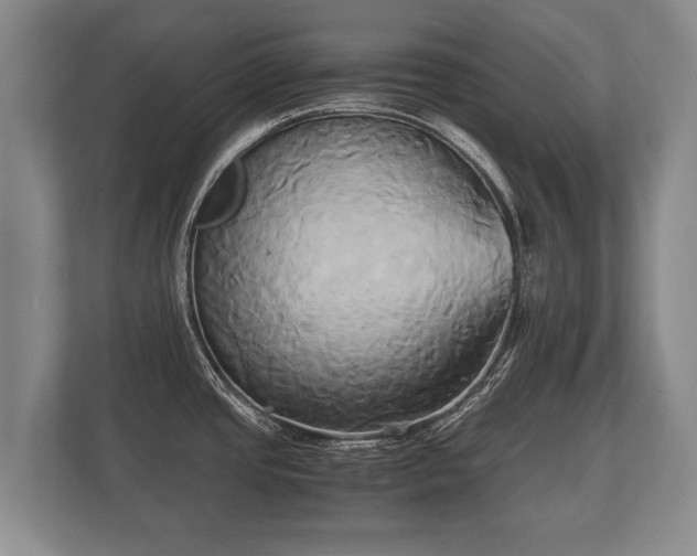 X0000110321437200905281624