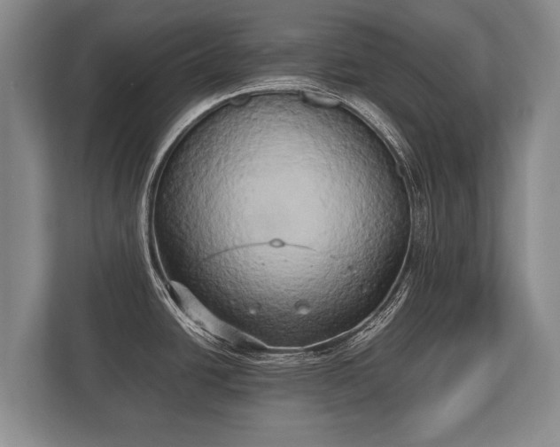 X0000110321438200905281624