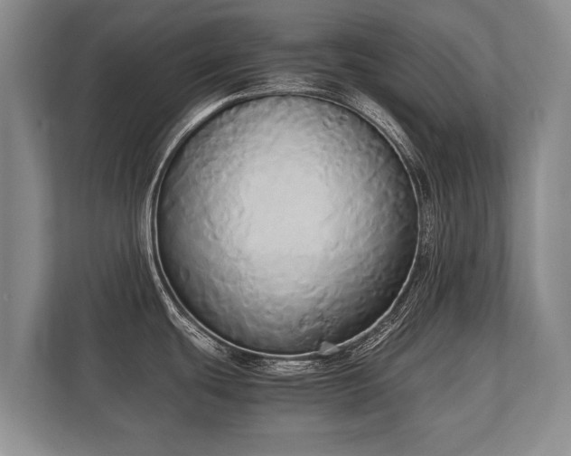 X0000110321439200905281624