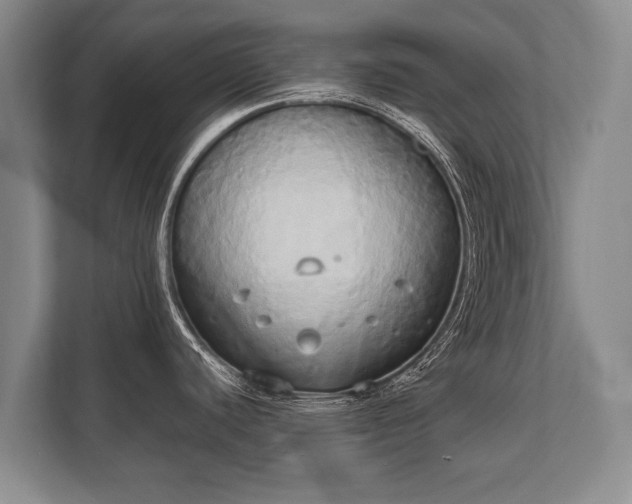 X0000110321440200905281624