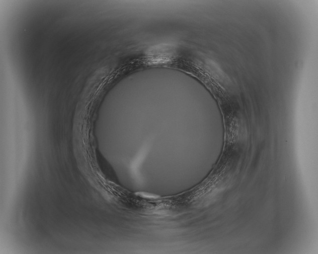 X0000110321441200905281623