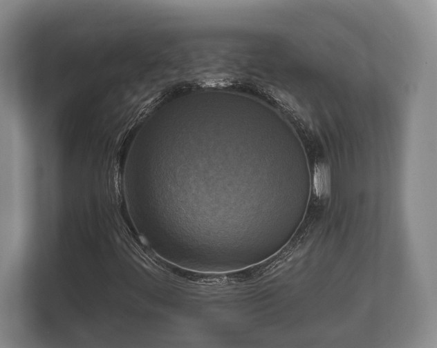 X0000110321444200905281623