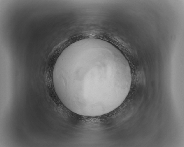 X0000110321446200905281623