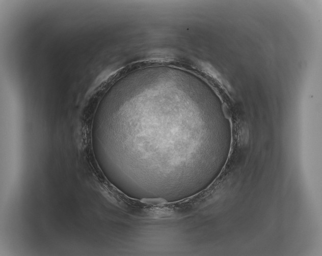 X0000110321448200905281623