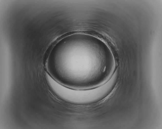 X0000110321449200905281623