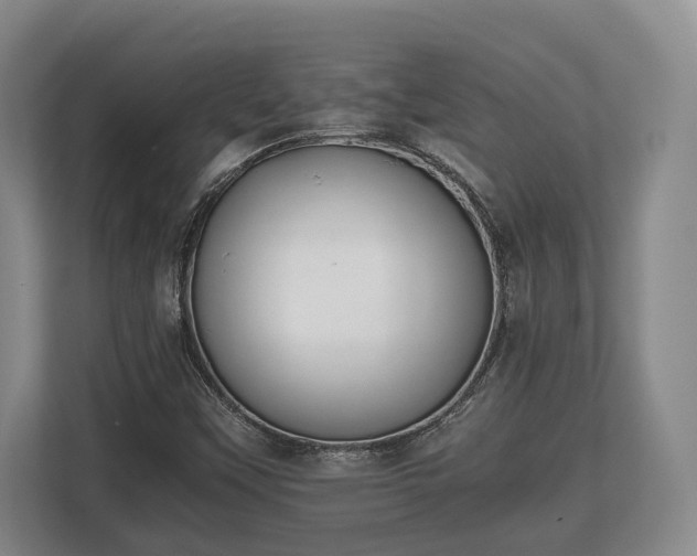 X0000110321451200905281623