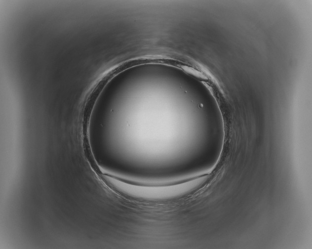 X0000110321456200905281623